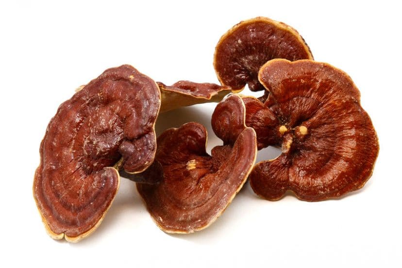 reishi mushrooms