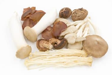 categories of mushrooms