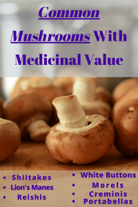 telluride mushroom festival