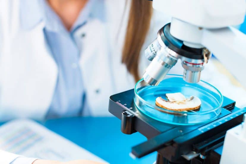 mushrooms for medicine