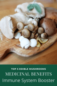 types of mushrooms